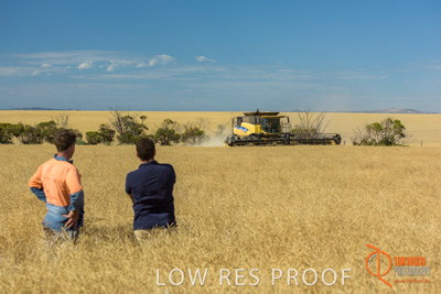 November 2017 / HARVEST_TUMBY_AM_169_171121_TRP8502