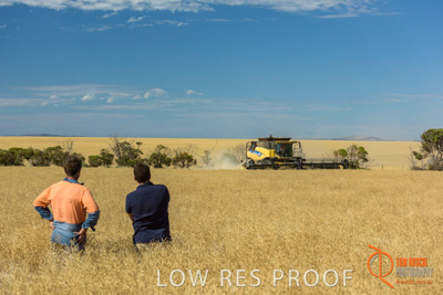 November 2017 / HARVEST_TUMBY_AM_171_171121_TRP8505