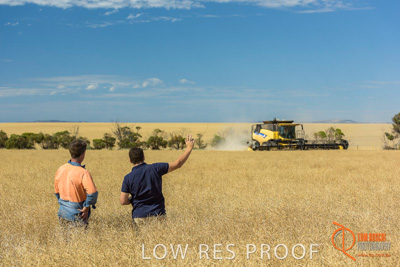 November 2017 / HARVEST_TUMBY_AM_172_171121_TRP8506