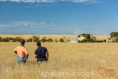 November 2017 / HARVEST_TUMBY_AM_174_171121_TRP8508