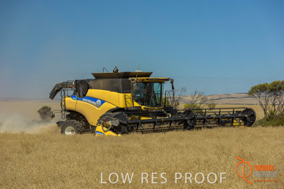 November 2017 / HARVEST_TUMBY_AM_175_171121_TRP8509