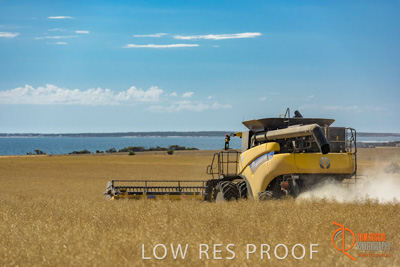 November 2017 / HARVEST_TUMBY_AM_186_171121_TRP8511