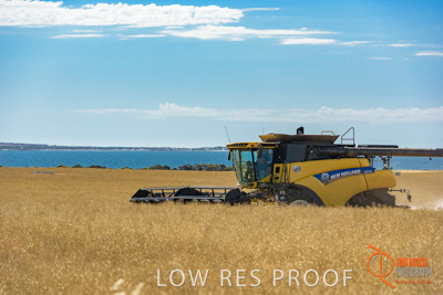 November 2017 / HARVEST_TUMBY_AM_191_171121_TRP8518