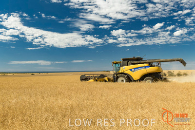 November 2017 / HARVEST_TUMBY_AM_192_171121_TRP5808