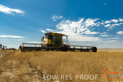 November 2017 / HARVEST_TUMBY_AM_207_171121_TRP5826