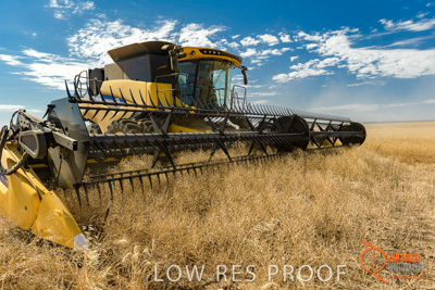 November 2017 / HARVEST_TUMBY_AM_214_171121_TRP5835