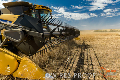 November 2017 / HARVEST_TUMBY_AM_221_171121_TRP5842