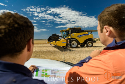 November 2017 / HARVEST_TUMBY_AM_253_171121_TRP5909