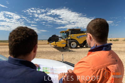 November 2017 / HARVEST_TUMBY_AM_255_171121_TRP5911