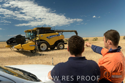 November 2017 / HARVEST_TUMBY_AM_264_171121_TRP5923