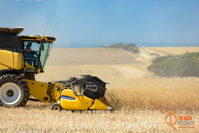 November 2017 / HARVEST_TUMBY_AM_272_171121_TRP8555