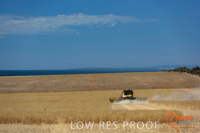 November 2017 / HARVEST_TUMBY_AM_287_171121_TRP8579