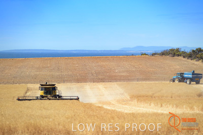 November 2017 / HARVEST_TUMBY_AM_295_171121_TRP5953