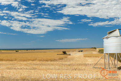 November 2017 / HARVEST_TUMBY_AM_302_171121_TRP5965