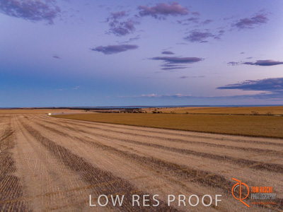 November 2017 / EP_HARVEST_PM_013_171121