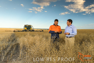 November 2017 / HARVEST_TUMBY_PM_035_171121_TRP6631