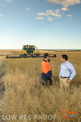 November 2017 / HARVEST_TUMBY_PM_045_171121_TRP6652