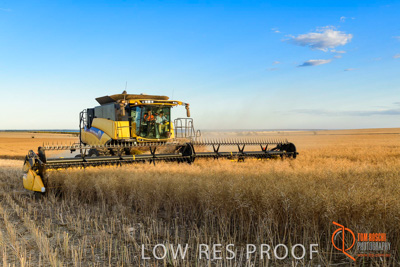 November 2017 / HARVEST_TUMBY_PM_088_171121_TRP6694