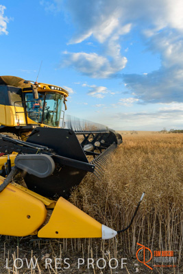 November 2017 / HARVEST_TUMBY_PM_099_171121_TRP6708