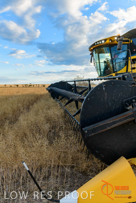 November 2017 / HARVEST_TUMBY_PM_105_171121_TRP6717