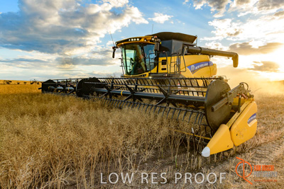 November 2017 / HARVEST_TUMBY_PM_110_171121_TRP6726