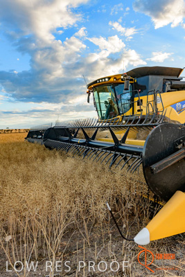 November 2017 / HARVEST_TUMBY_PM_113_171121_TRP6730