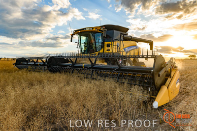 November 2017 / HARVEST_TUMBY_PM_123_171121_TRP6747