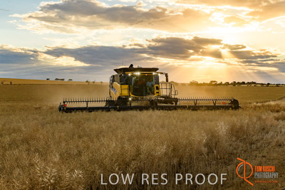 November 2017 / HARVEST_TUMBY_PM_151_171121_TRP6791