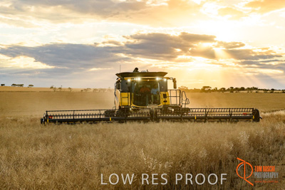 November 2017 / HARVEST_TUMBY_PM_153_171121_TRP6793