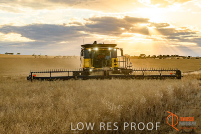 November 2017 / HARVEST_TUMBY_PM_154_171121_TRP6794