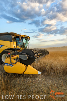 November 2017 / HARVEST_TUMBY_PM_171_171121_TRP6809