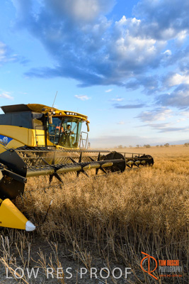 November 2017 / HARVEST_TUMBY_PM_182_171121_TRP6825