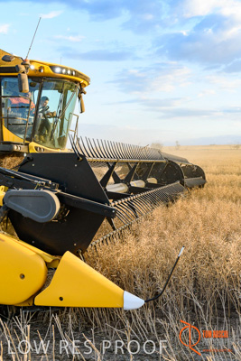 November 2017 / HARVEST_TUMBY_PM_190_171121_TRP6843