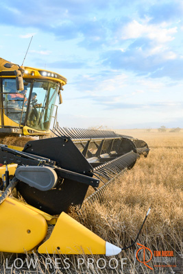 November 2017 / HARVEST_TUMBY_PM_191_171121_TRP6847