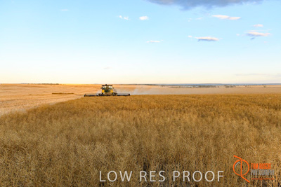 November 2017 / HARVEST_TUMBY_PM_223_171121_TRP6902