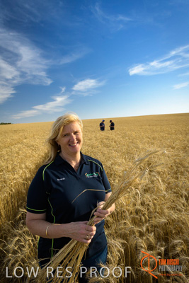 December 2017 / ECKERT_054_171219