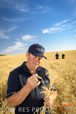 December 2017 / ECKERT_063_171219