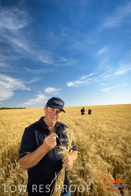 December 2017 / ECKERT_066_171219