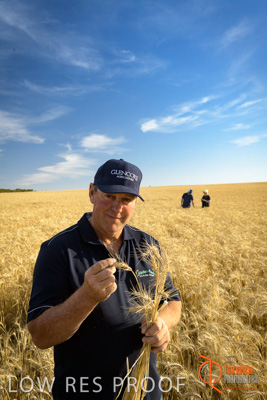 December 2017 / ECKERT_068_171219