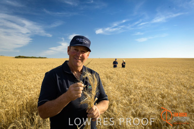 December 2017 / ECKERT_070_171219