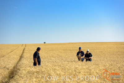 December 2017 / ECKERT_080_171219