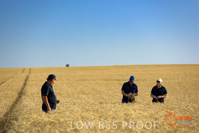 December 2017 / ECKERT_081_171219