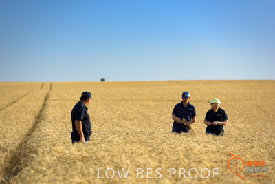 December 2017 / ECKERT_083_171219