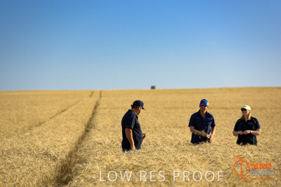 December 2017 / ECKERT_084_171219