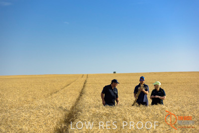 December 2017 / ECKERT_089_171219