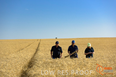 December 2017 / ECKERT_091_171219