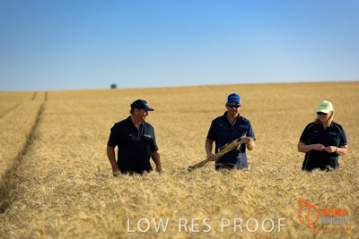 December 2017 / ECKERT_094_171219