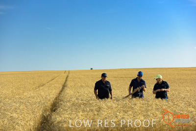 December 2017 / ECKERT_095_171219