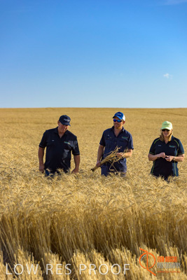 December 2017 / ECKERT_102_171219