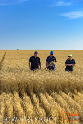 December 2017 / ECKERT_103_171219